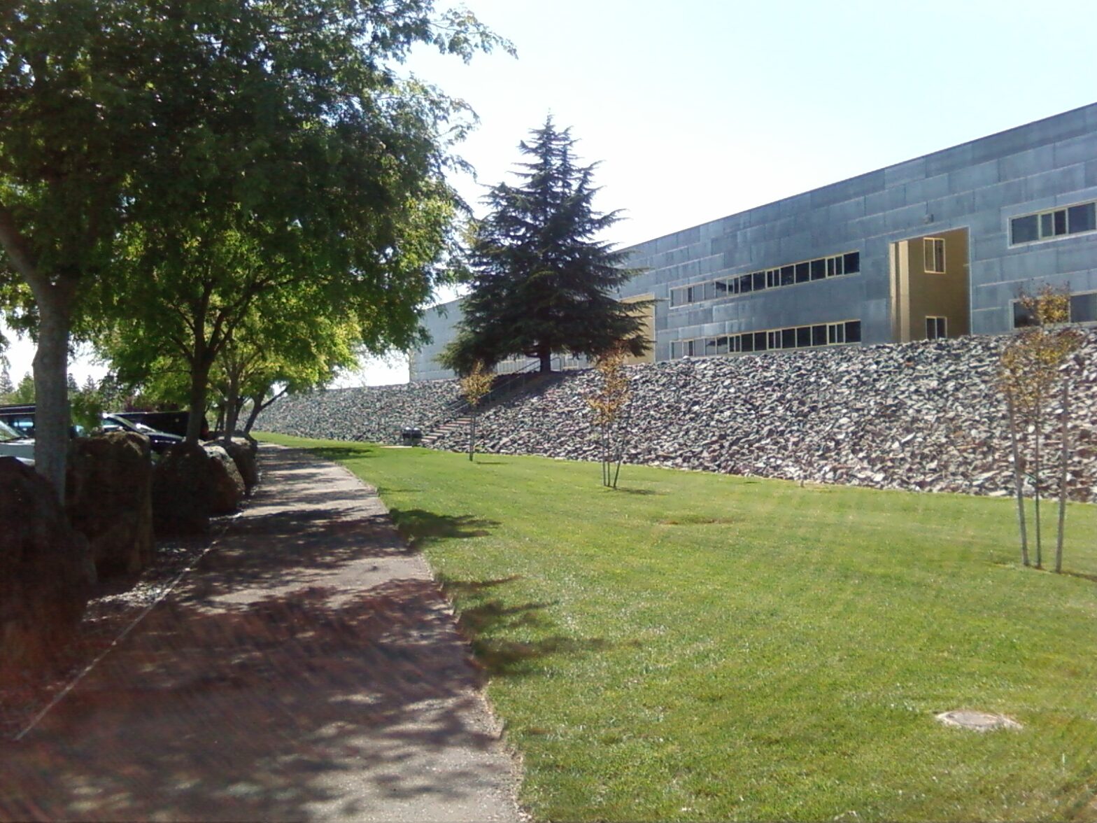 Path in front
